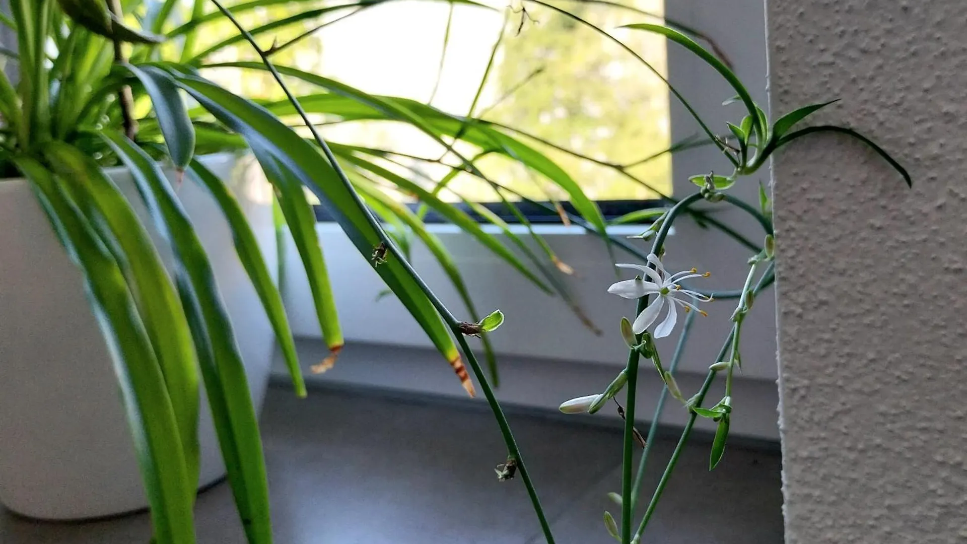 Apartment Kempten Zentral Im Gruenen